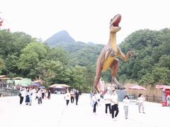 -栾川竹海野生动物园