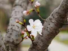 -江南大学(蠡湖校区)
