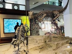 -自贡恐龙博物馆