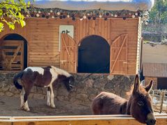 -HERRE·FARM 赫尔露营农场·团建聚会包场