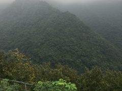 -东天目山风景区