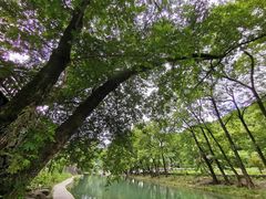 -鹿亭中村