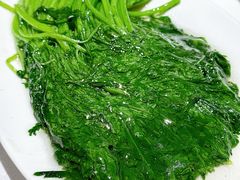 清炒茼蒿-弘雅饭店