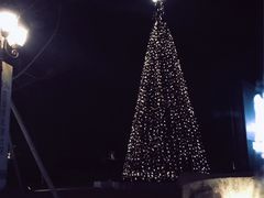 -浙江安吉JW万豪酒店·万豪中餐厅