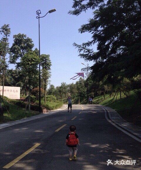 成都游攻略之凤凰山公园