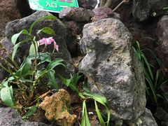 -南通洲际绿博园