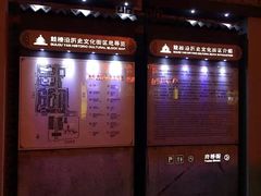-王阿姨文昌油赞子(府桥街店)