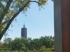 -西海子公园