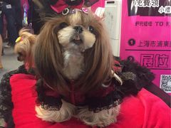 -东浩兰生上海世博展览馆