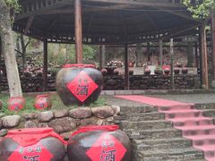 -姑婆山旅游区
