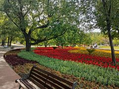 -长春公园(普阳街道)