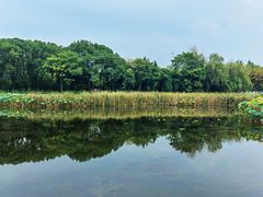 -金银湖国家城市湿地公园
