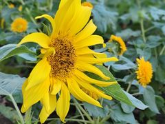 -祥源·阜阳生态乐园