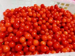 -樱桃山旅游景区