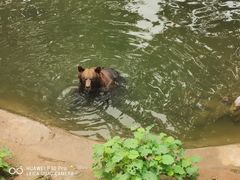 -石家庄市动物园