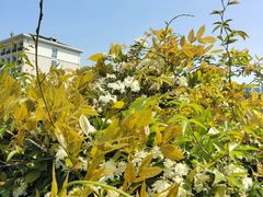 -浙江越秀外国语学院