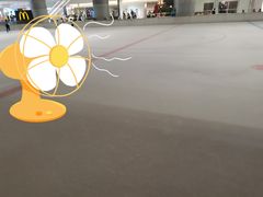 -TheRink大零溜冰场(IFS国金中心店)