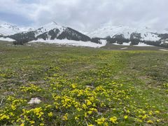-新疆那拉提国家旅游度假区