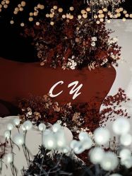 -红丝高端婚礼中心(旗舰店)