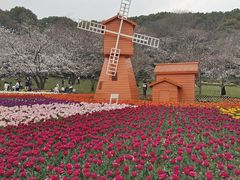 -苏州上方山国家森林公园