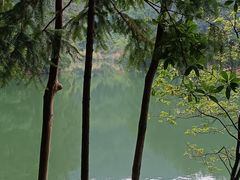 -缙云山景区