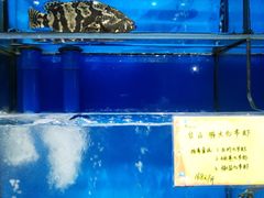 -蚝专家(北滘店)