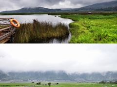 -腾冲北海湿地