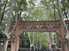 -灵谷景区