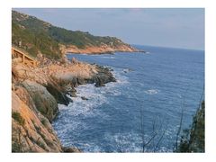 -广东惠东海龟国家级自然保护区