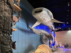 -浙江自然博物院(杭州馆)