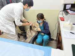 -美联众合动物医院·24h转诊中心