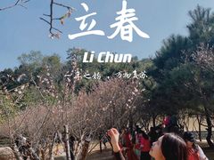 -中山市树木园