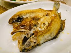 香煎大黄鱼-盈旺小厨·非遗黄鳝饭(泰康路店)