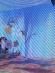 -超级奈尔宝SUPER NEOBIO(杭州星光店)