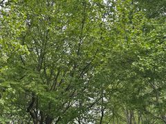 -棒棰岛宾馆景区