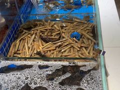 -加餐海鲜自助餐厅(福清万达店)