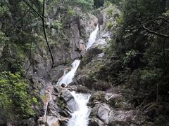 -九龙江国家森林公园