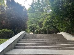 -西京医院
