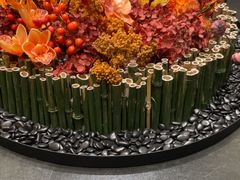 -同庆楼(奥体中心店)