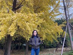 -成都高新创新角度网球俱乐部