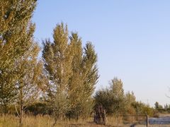 -亿利库布其七星湖沙漠生态旅游区