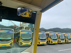 -东澳岛