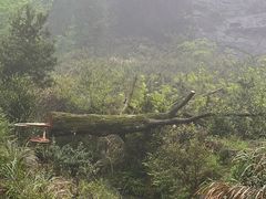 -大罗山风景区