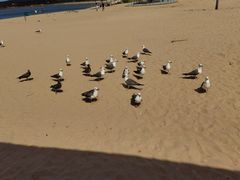 -海驴岛(荣成市)