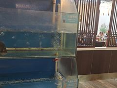 -上地宴·中关村的会客厅(清河高铁站店)