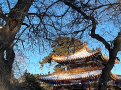 -北陵公园