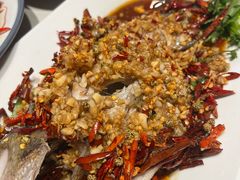 -杨氏青龙虾·羊蝎子(托乐嘉店)