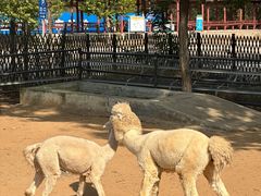 -秦皇岛野生动物园
