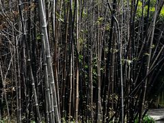 -南诏风情岛