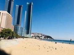 -海云台海滩